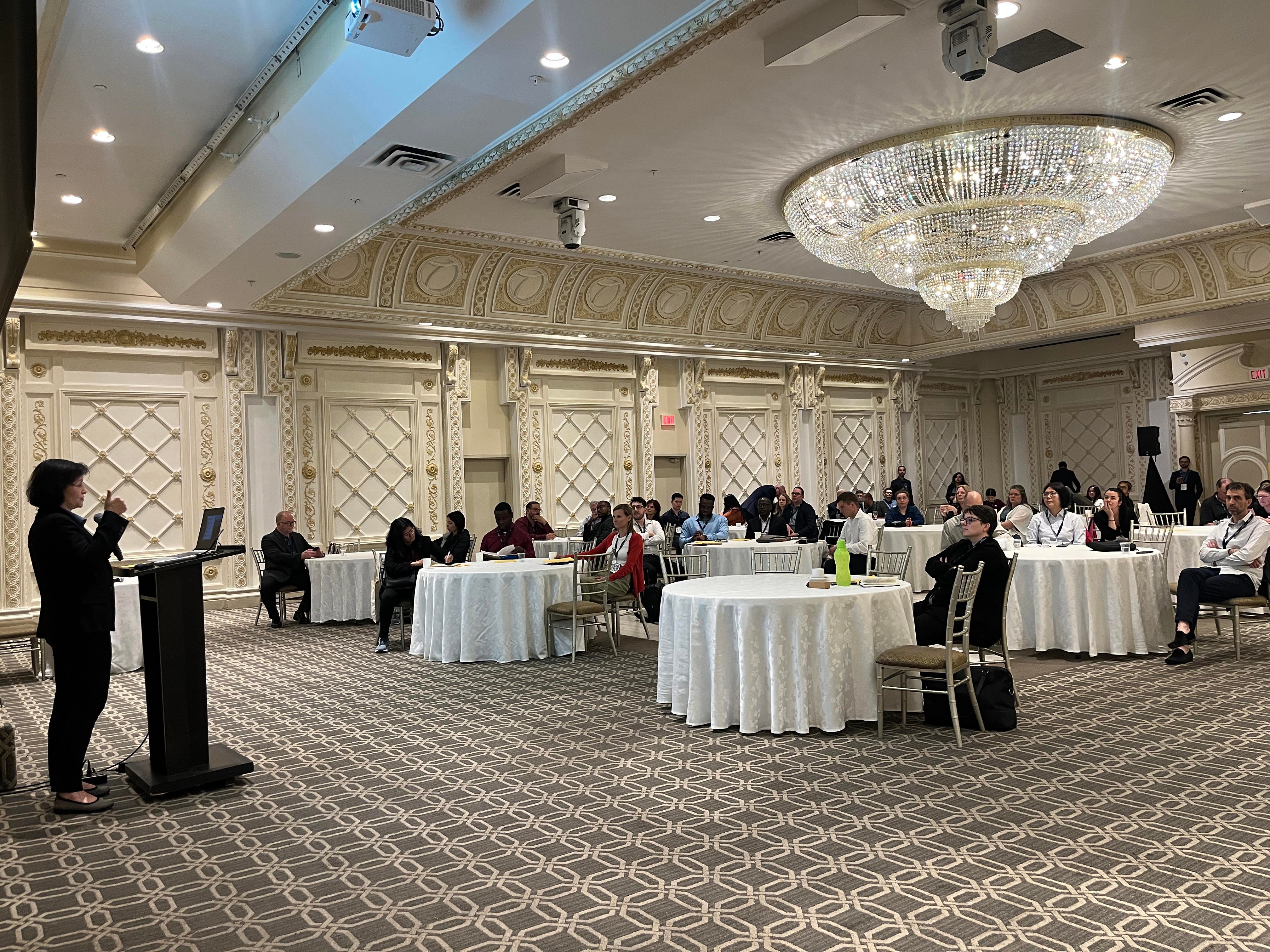 BAASS Connect with Anna McNally